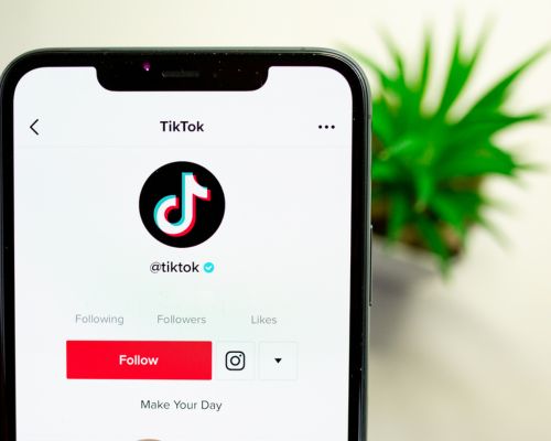 how to use tiktok for artists